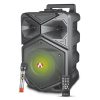 Audionic MEHFIL MH-808 (8″inch Woofer) Speaker